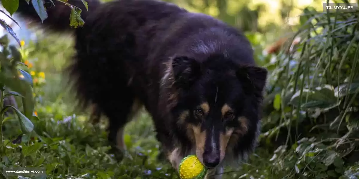 我们的核心竞争力